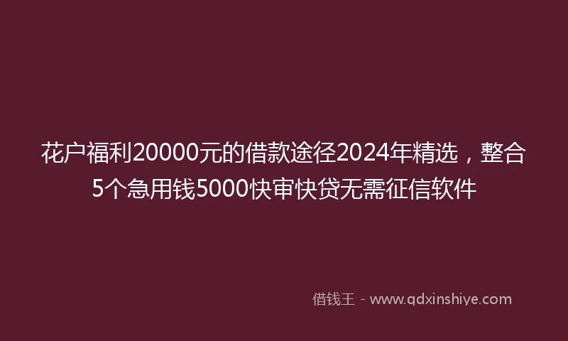 花户福利20000元的借款途径2024年精选，整合5个急用钱5000快审快贷无需征信软件