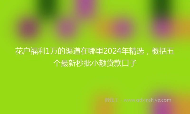 花户福利1万的渠道在哪里2024年精选，概括五个最新秒批小额贷款口子