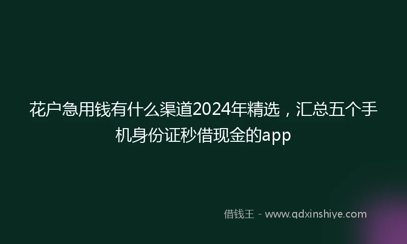 花户急用钱有什么渠道2024年精选，汇总五个手机身份证秒借现金的app