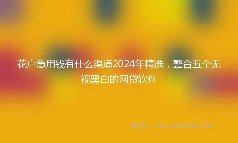 花户急用钱有什么渠道2024年精选,整合五个无视黑白的网贷软件