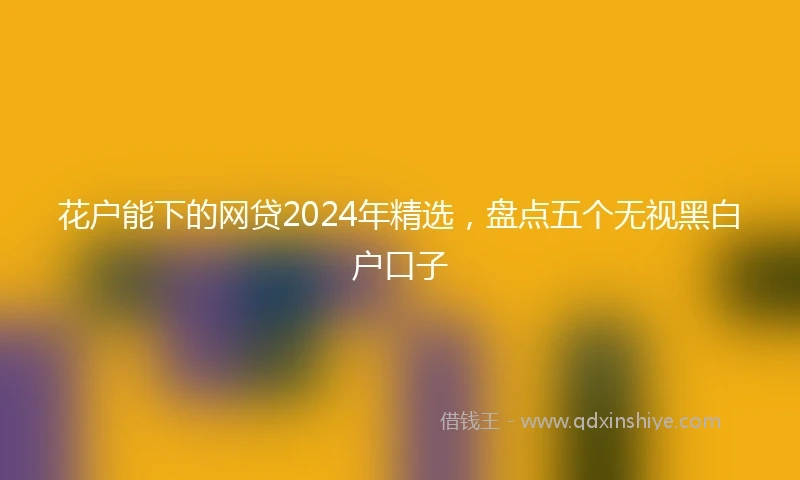 花户能下的网贷2024年精选，盘点五个无视黑白户口子