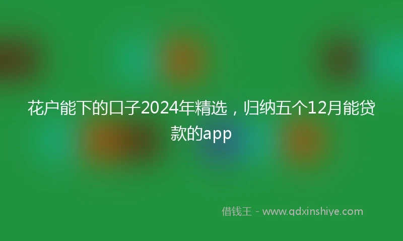 花户能下的口子2024年精选，归纳五个12月能贷款的app
