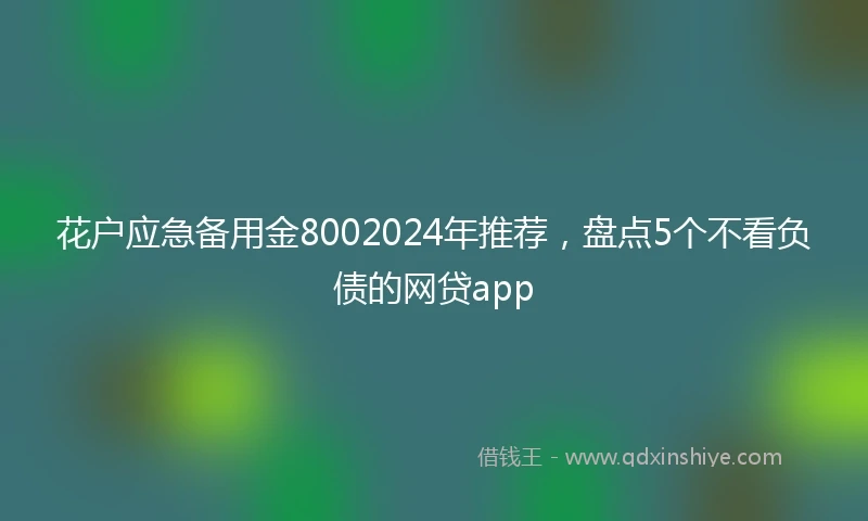 花户应急备用金8002024年推荐，盘点5个不看负债的网贷app