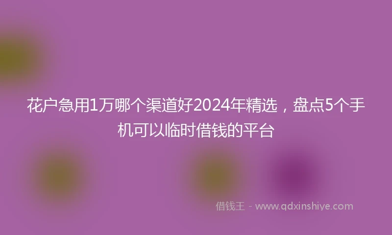 花户急用1万哪个渠道好2024年精选，盘点5个手机可以临时借钱的平台