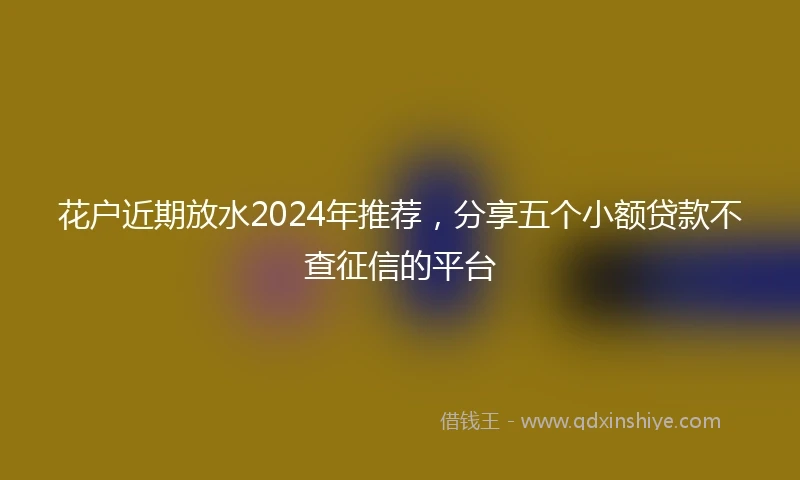 花户近期放水2024年推荐，分享五个小额贷款不查征信的平台