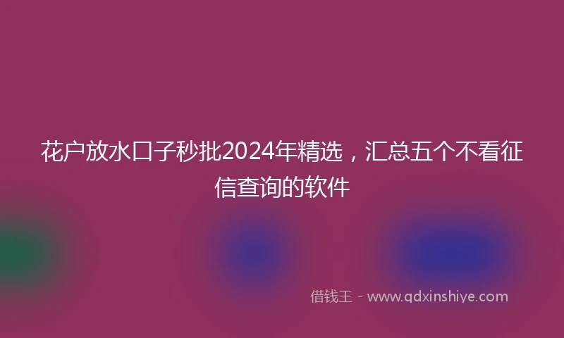 花户放水口子秒批2024年精选，汇总五个不看征信查询的软件