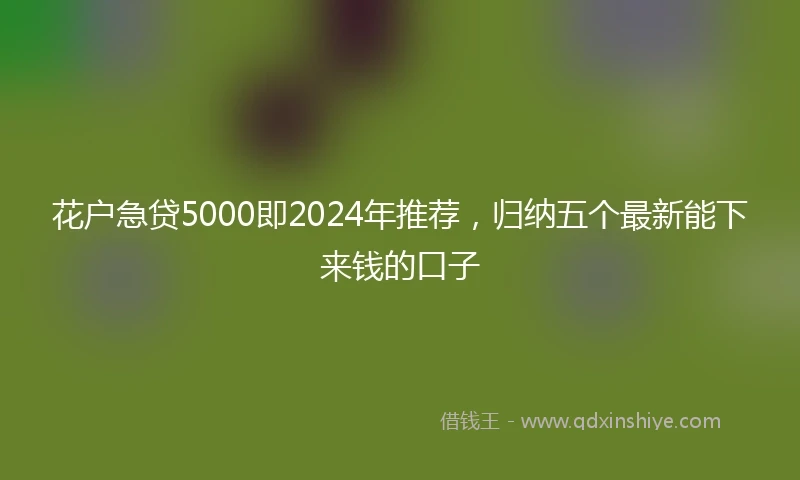 花户急贷5000即2024年推荐，归纳五个最新能下来钱的口子