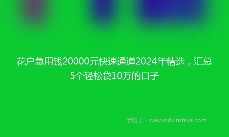 花户急用钱20000元快速通道2024年精选，汇总5个轻松贷10万的口子