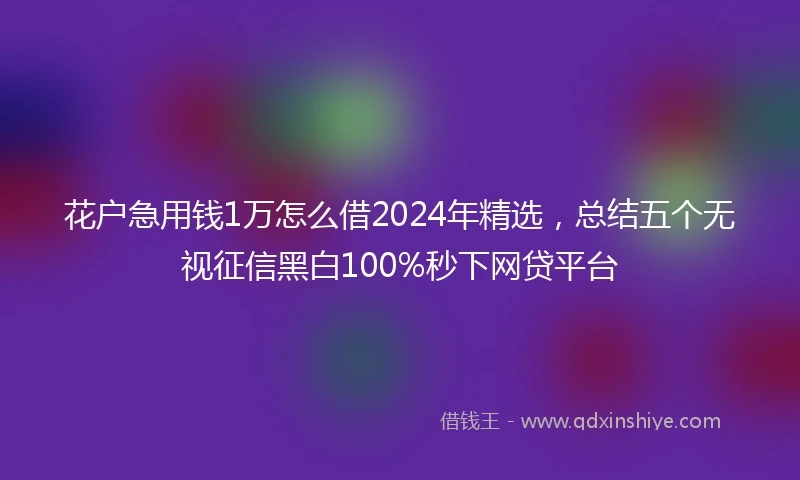 花户急用钱1万怎么借2024年精选，总结五个无视征信黑白100%秒下网贷平台