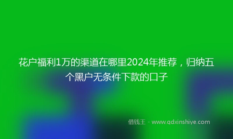 花户福利1万的渠道在哪里2024年推荐，归纳五个黑户无条件下款的口子