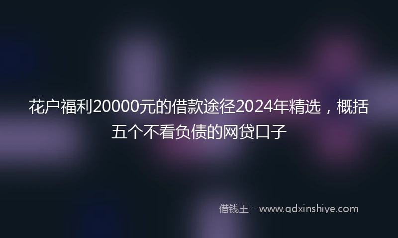 花户福利20000元的借款途径2024年精选，概括五个不看负债的网贷口子