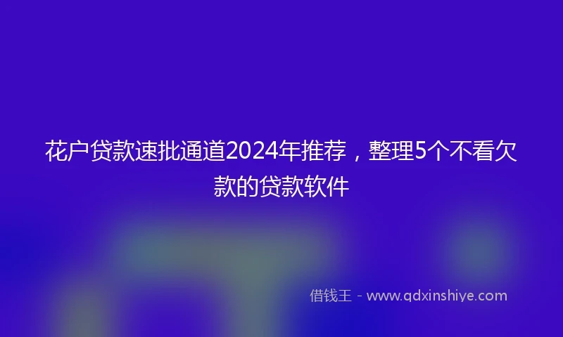 花户贷款速批通道2024年推荐，整理5个不看欠款的贷款软件