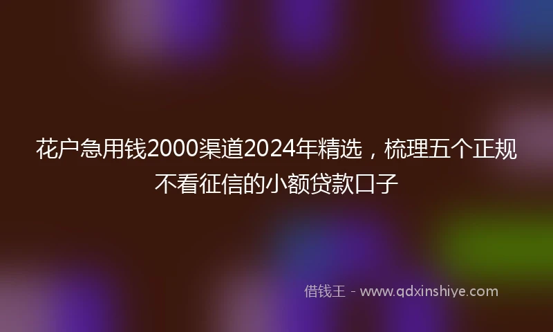 花户急用钱2000渠道2024年精选，梳理五个正规不看征信的小额贷款口子