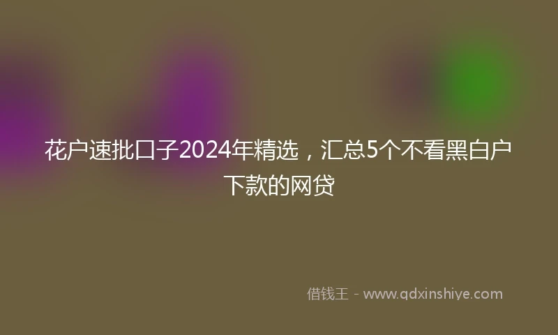 花户速批口子2024年精选，汇总5个不看黑白户下款的网贷