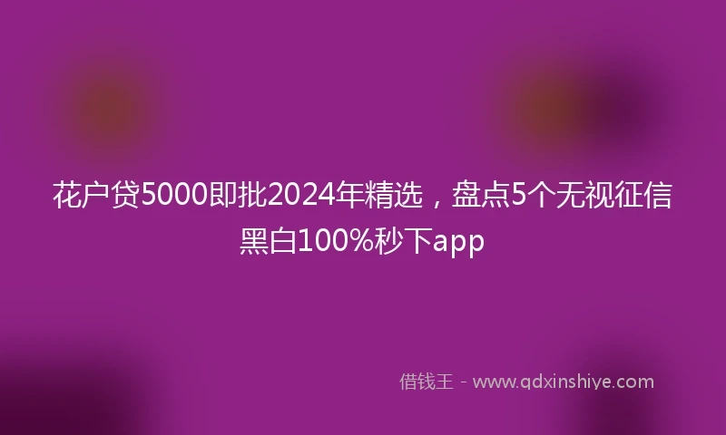 花户贷5000即批2024年精选，盘点5个无视征信黑白100%秒下app