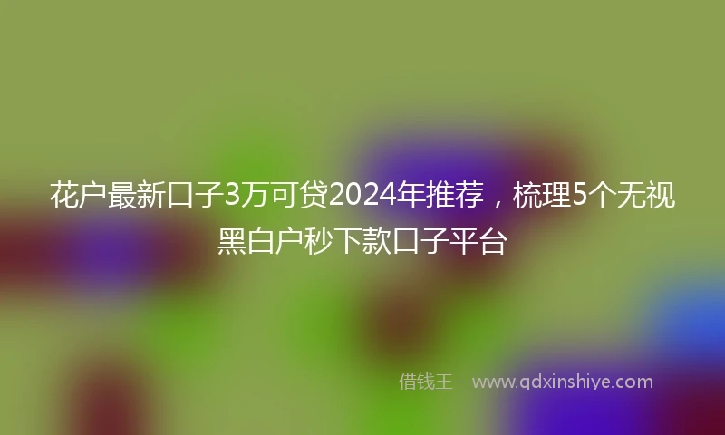 花户最新口子3万可贷2024年推荐，梳理5个无视黑白户秒下款口子平台