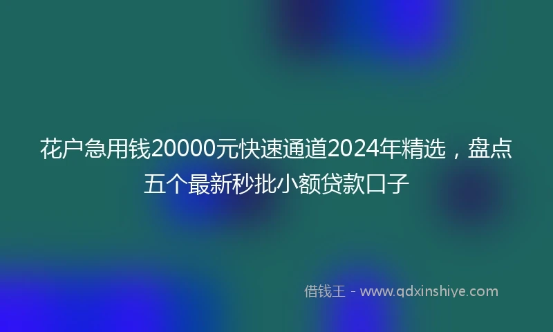 花户急用钱20000元快速通道2024年精选，盘点五个最新秒批小额贷款口子