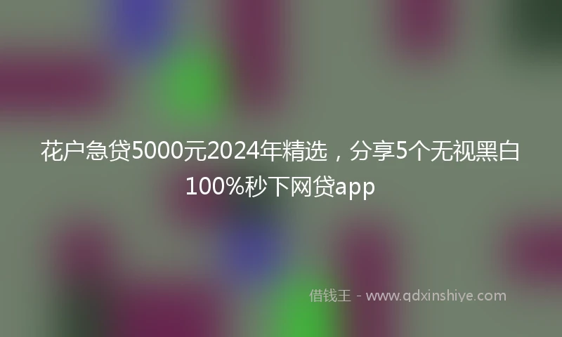 花户急贷5000元2024年精选，分享5个无视黑白100%秒下网贷app