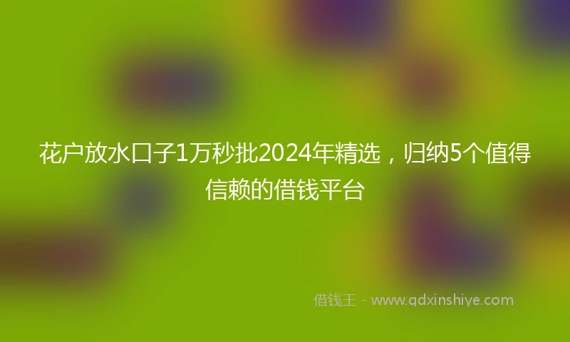 花户放水口子1万秒批2024年精选，归纳5个值得信赖的借钱平台