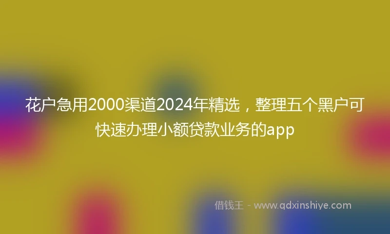 花户急用2000渠道2024年精选，整理五个黑户可快速办理小额贷款业务的app