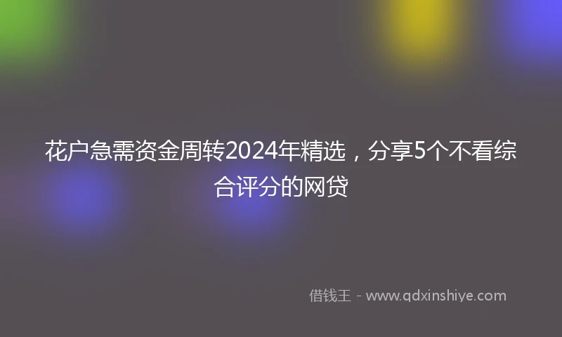 花户急需资金周转2024年精选，分享5个不看综合评分的网贷
