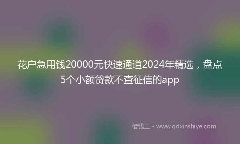 花户急用钱20000元快速通道2024年精选,盘点5个小额贷款不查征信的app