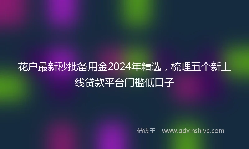 花户最新秒批备用金2024年精选，梳理五个新上线贷款平台门槛低口子