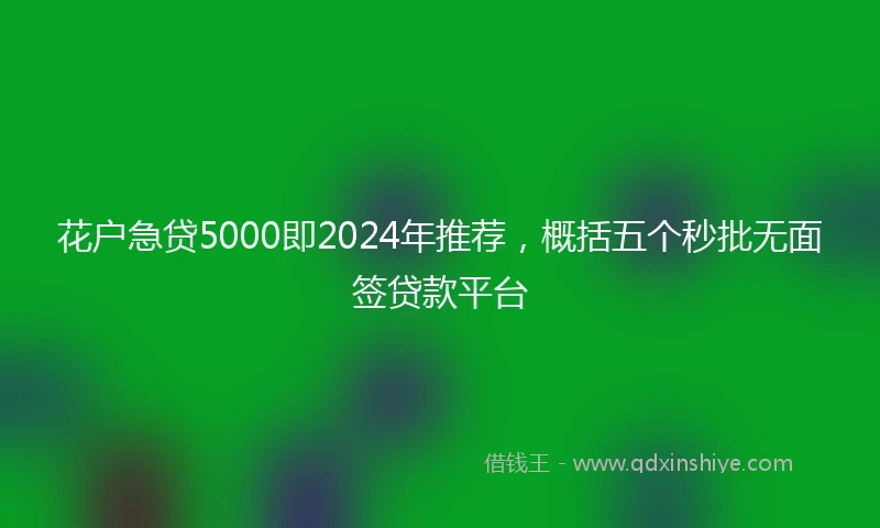 花户急贷5000即2024年推荐，概括五个秒批无面签贷款平台