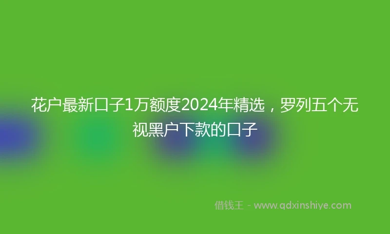 花户最新口子1万额度2024年精选，罗列五个无视黑户下款的口子