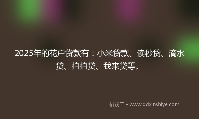 2025年的花户贷款有：小米贷款、读秒贷、滴水贷、拍拍贷、我来贷等。