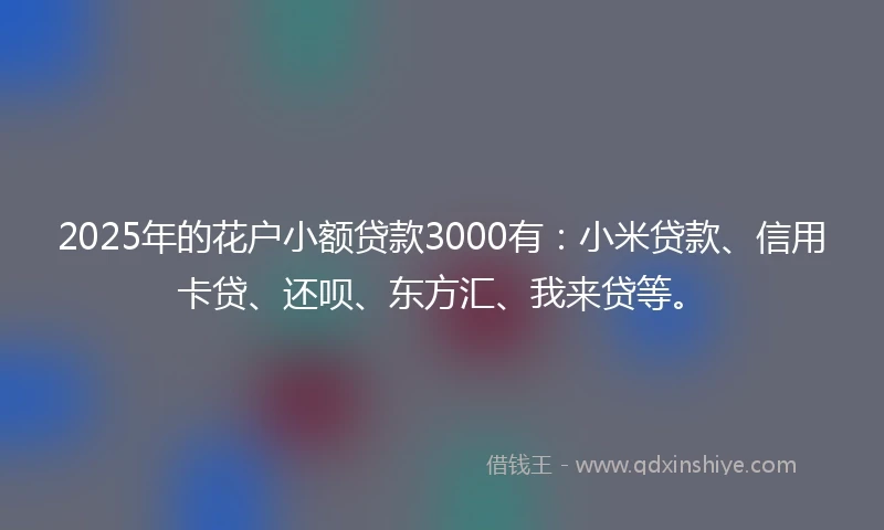 2025年的花户小额贷款3000有：小米贷款、信用卡贷、还呗、东方汇、我来贷等。