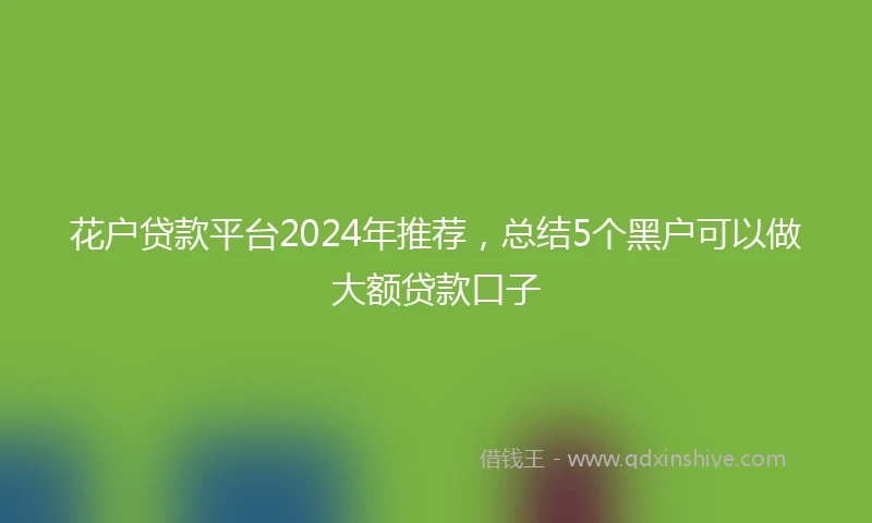 花户贷款平台2024年推荐，总结5个黑户可以做大额贷款口子