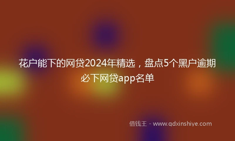 花户能下的网贷2024年精选，盘点5个黑户逾期必下网贷app名单