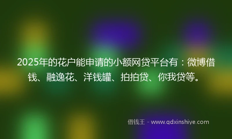 2025年的花户能申请的小额网贷平台有：微博借钱、融逸花、洋钱罐、拍拍贷、你我贷等。
