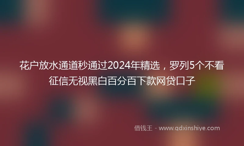 花户放水通道秒通过2024年精选，罗列5个不看征信无视黑白百分百下款网贷口子