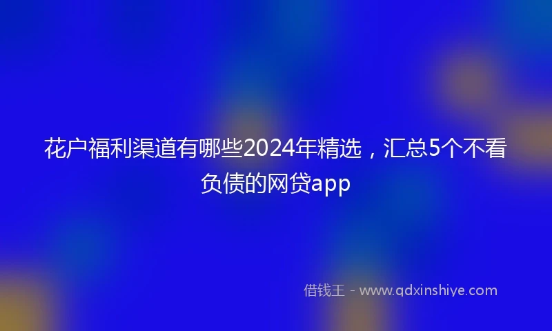 花户福利渠道有哪些2024年精选，汇总5个不看负债的网贷app