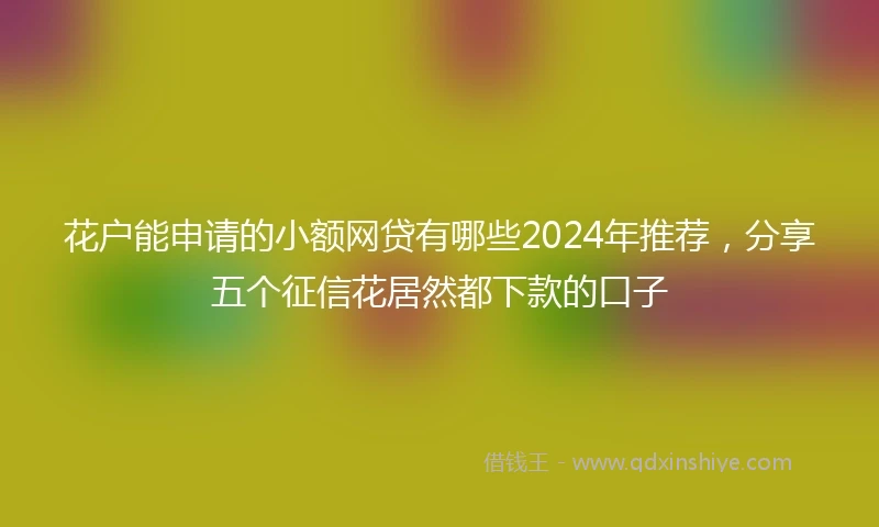 花户能申请的小额网贷有哪些2024年推荐，分享五个征信花居然都下款的口子