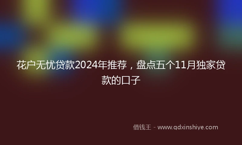 花户无忧贷款2024年推荐，盘点五个11月独家贷款的口子