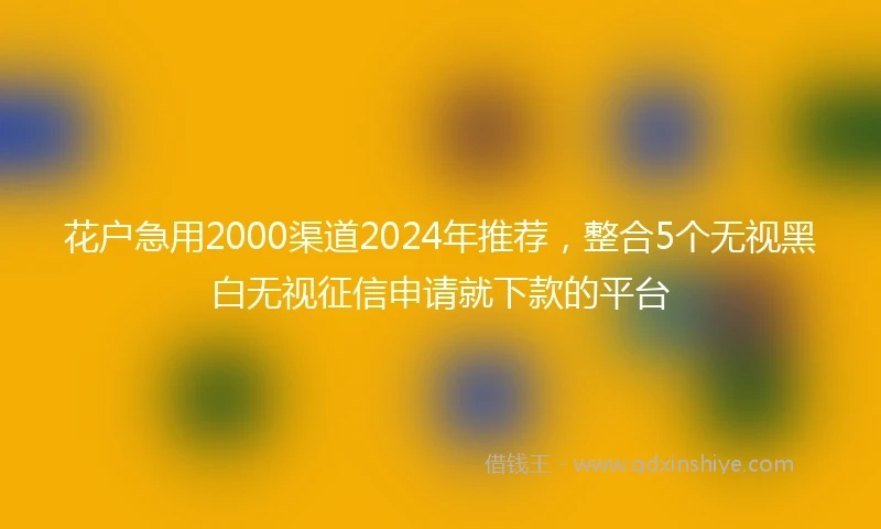 花户急用2000渠道2024年推荐，整合5个无视黑白无视征信申请就下款的平台
