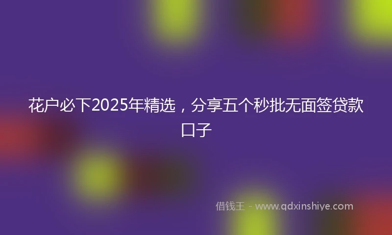 花户必下2025年精选，分享五个秒批无面签贷款口子