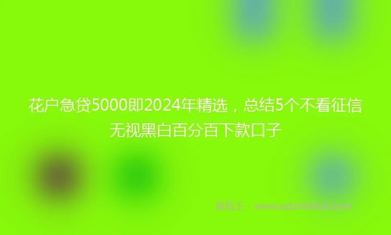 花户急贷5000即2024年精选，总结5个不看征信无视黑白百分百下款口子