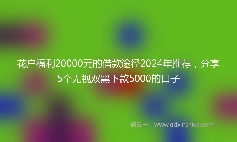 花户福利20000元的借款途径2024年推荐，分享5个无视双黑下款5000的口子