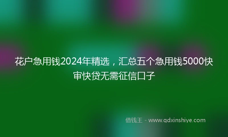 花户急用钱2024年精选，汇总五个急用钱5000快审快贷无需征信口子