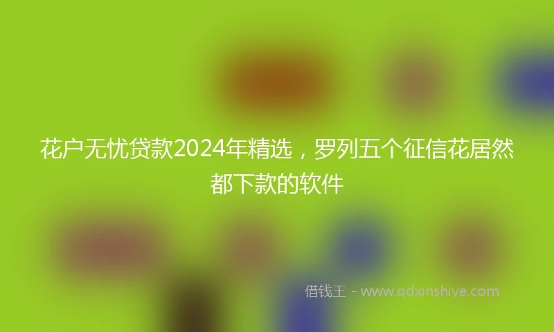 花户无忧贷款2024年精选，罗列五个征信花居然都下款的软件