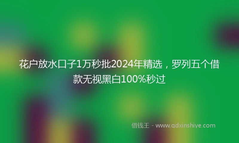 花户放水口子1万秒批2024年精选，罗列五个借款无视黑白100%秒过