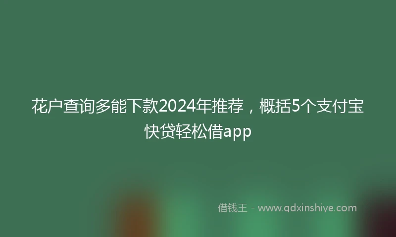 花户查询多能下款2024年推荐，概括5个支付宝快贷轻松借app