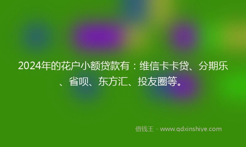 2024年的花户小额贷款有：维信卡卡贷、分期乐、省呗、东方汇、投友圈等。