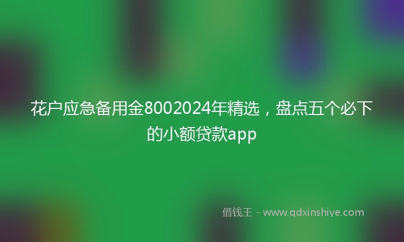 花户应急备用金8002024年精选，盘点五个必下的小额贷款app