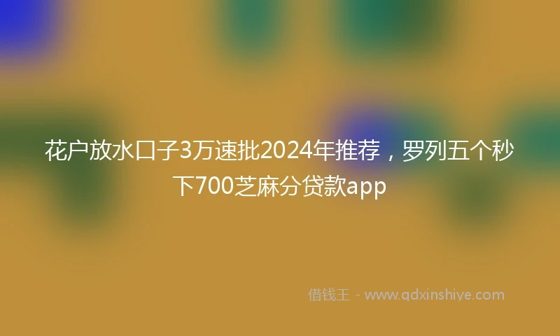 花户放水口子3万速批2024年推荐，罗列五个秒下700芝麻分贷款app