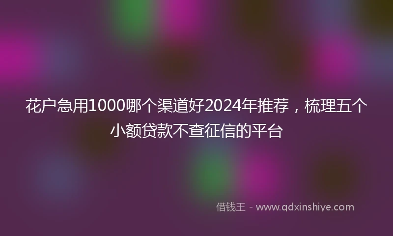 花户急用1000哪个渠道好2024年推荐，梳理五个小额贷款不查征信的平台